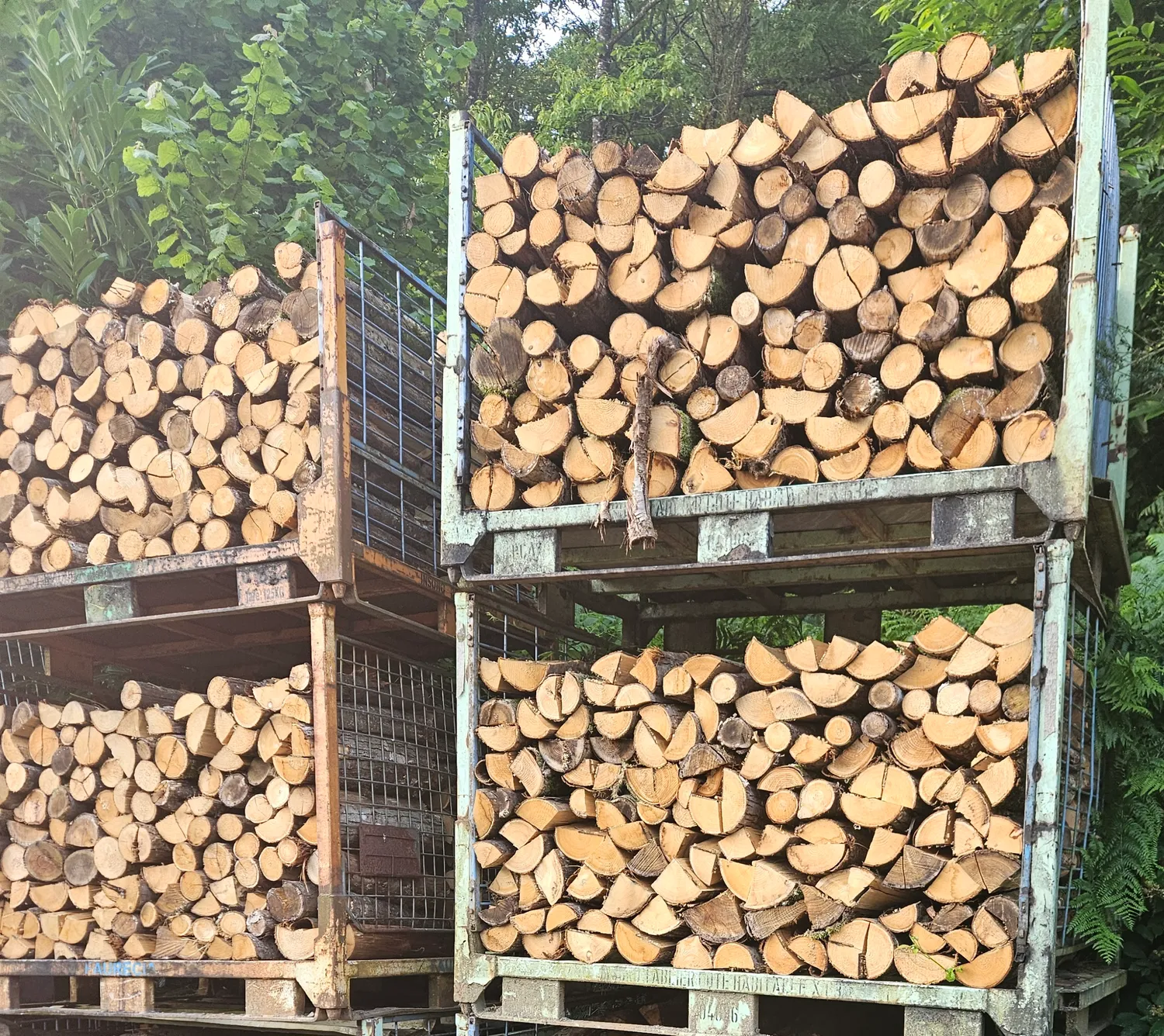 terrassement saint berthevin