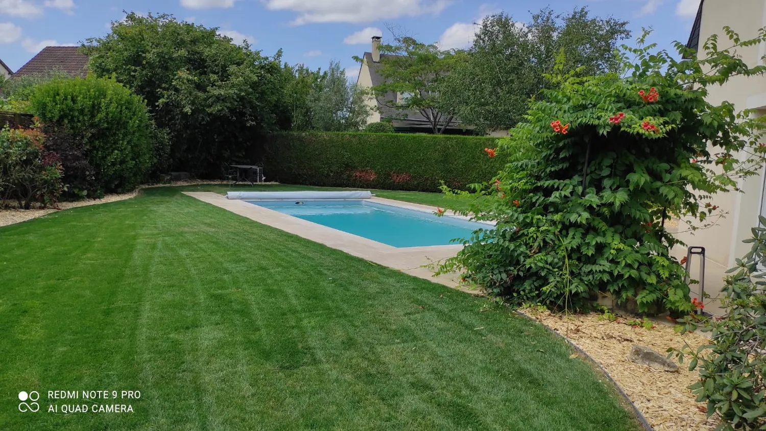 vente de bois de chauffage change