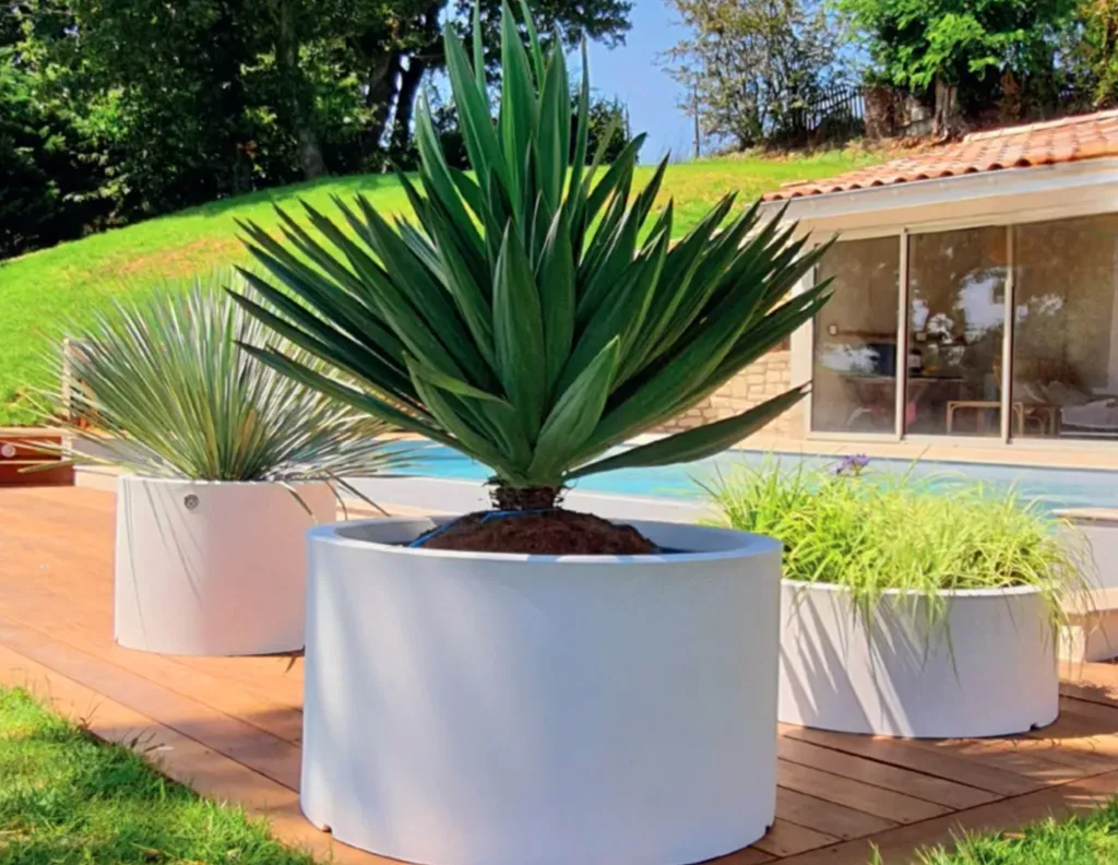 vente de bois de chauffage erbree